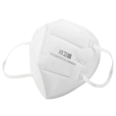 Bang Wei Dun KN95 PM2.5 Respirator Face Masks x10 from NSE Imports #2.